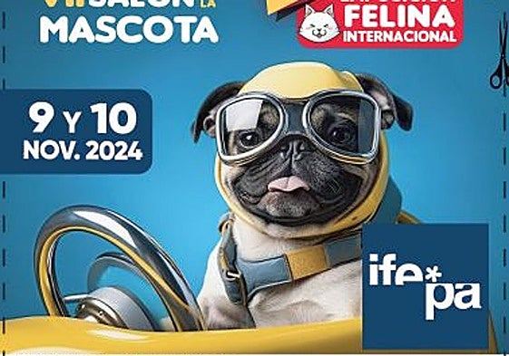 Amplia y diversa muestra de gatos y perros en Ifepa