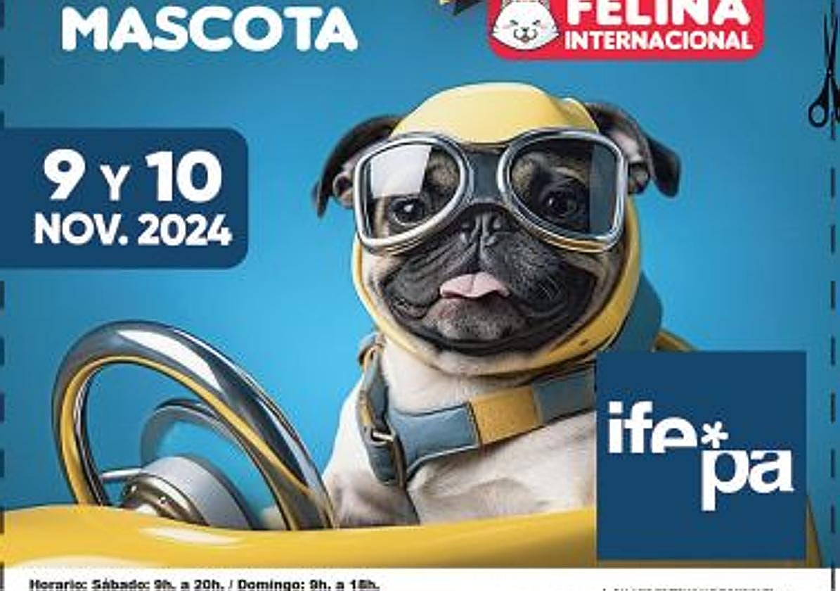 Amplia y diversa muestra de gatos y perros en Ifepa