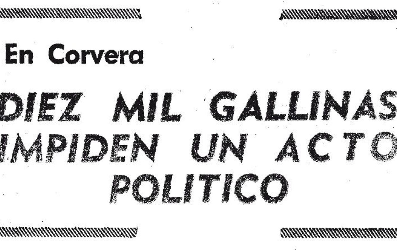 La historia de cómo diez mil gallinas impidieron un acto político en Murcia