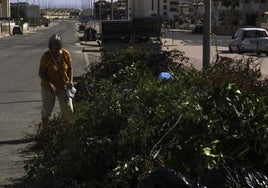 Restos de podas abandonados en una calle de Orihuela Costa, en una imagen de archivo.