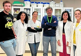 Los investigadores del proyecto Pedro Guijarro, Nuria García, Rocío González-Conejero, Constantino Martínez, Laura Zapata e Irene Martínez.