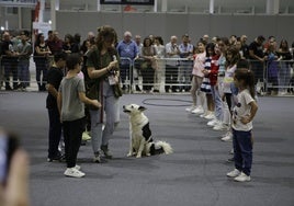 Los más pequeños disfrutarán una vez más con las actividades programadas estos días.