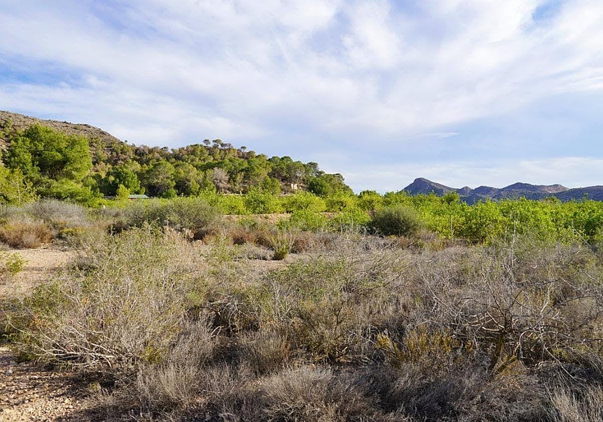Vista de una parcela de suelo industrial en Santomera en una imagen de archivo.