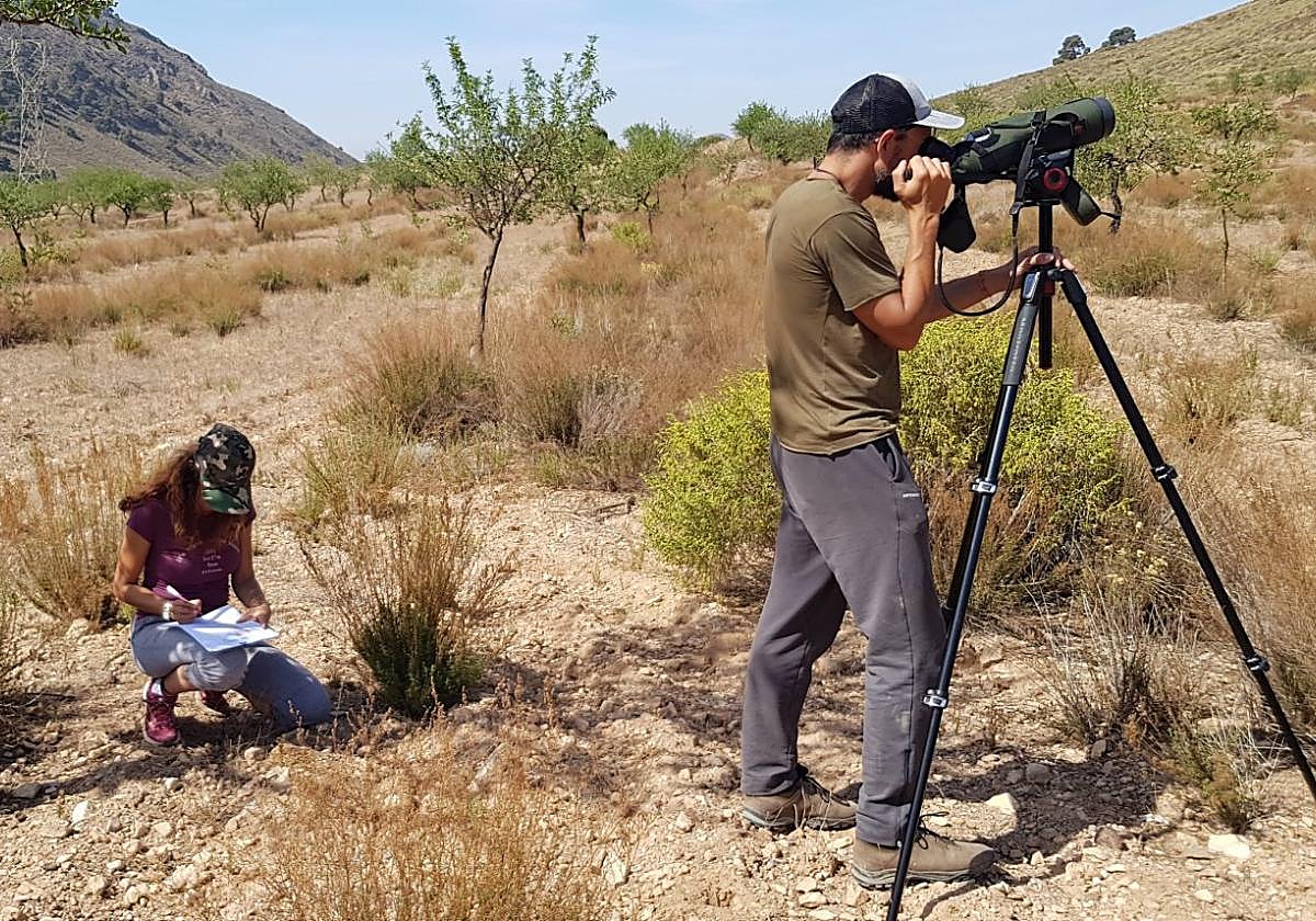 Miembros del grupo de investigación Ecomed durante un muestreo de aves en el campo.