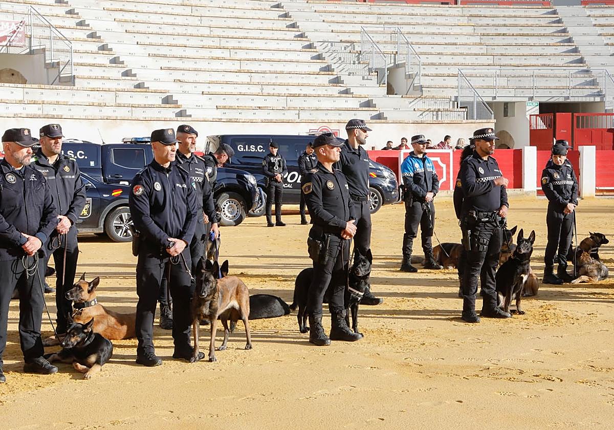 Las unidades caninas en la plaza de toros de Lorca.