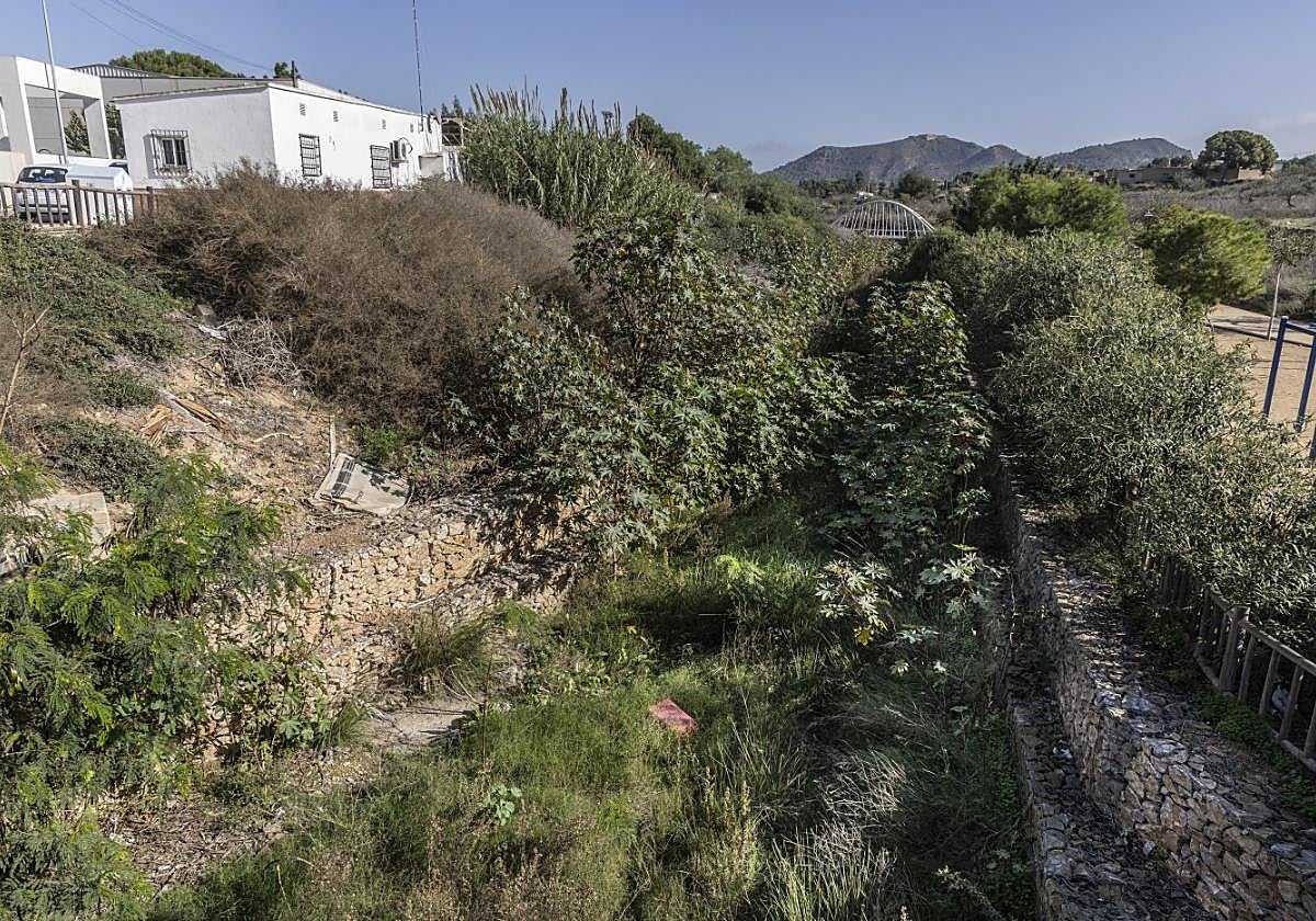 Vegetación y suciedad acumulada en la rambla de Canteras.