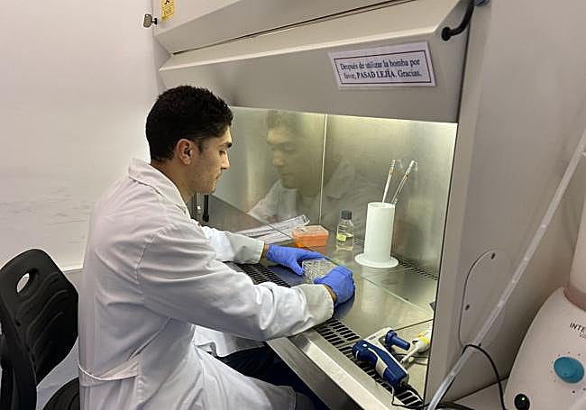 Pruebas en laboratorio del proyecto sobre el melanoma.
