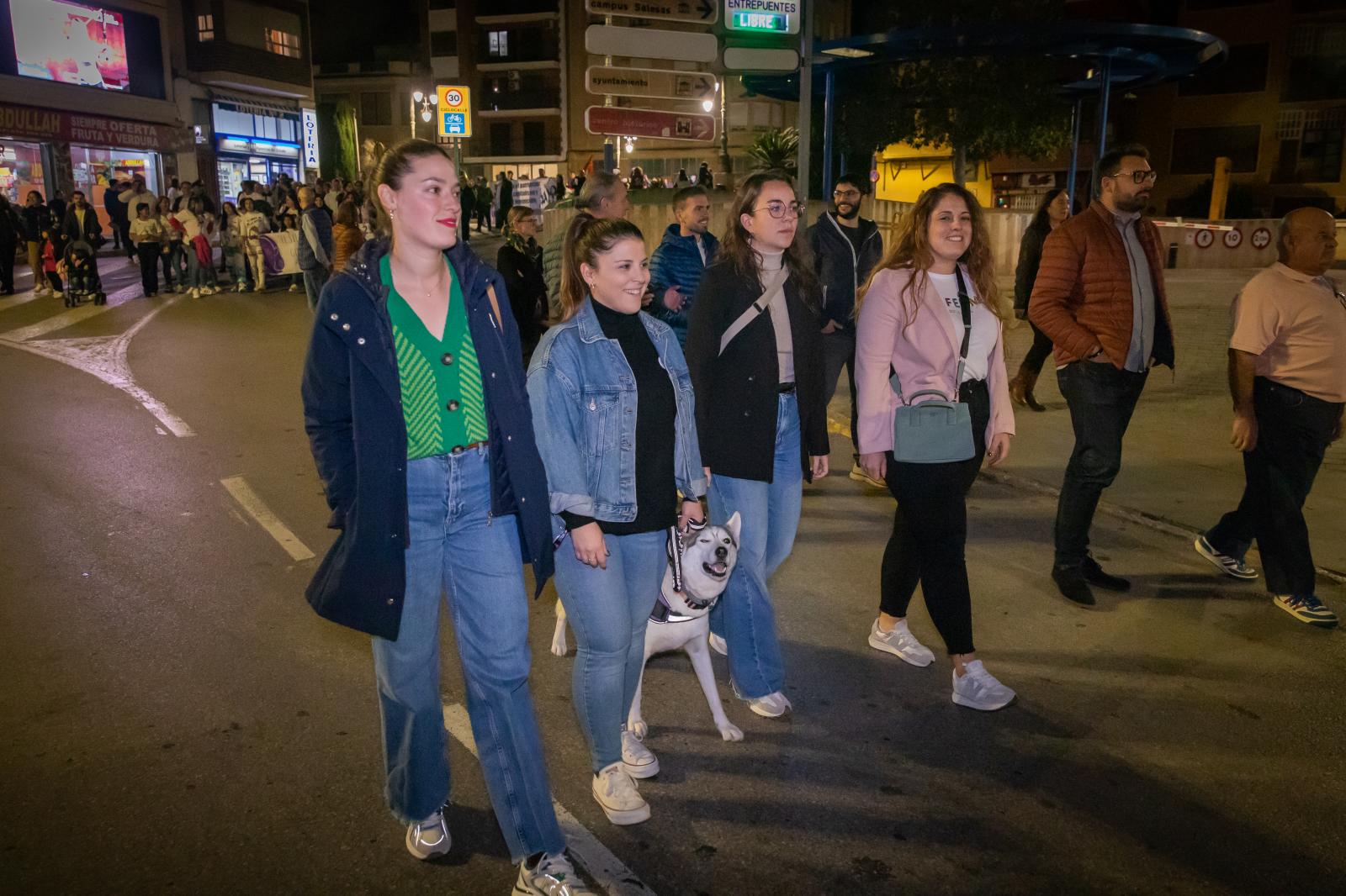 Las imágenes de la marcha del 25-N contra la violencia de género en Orihuela