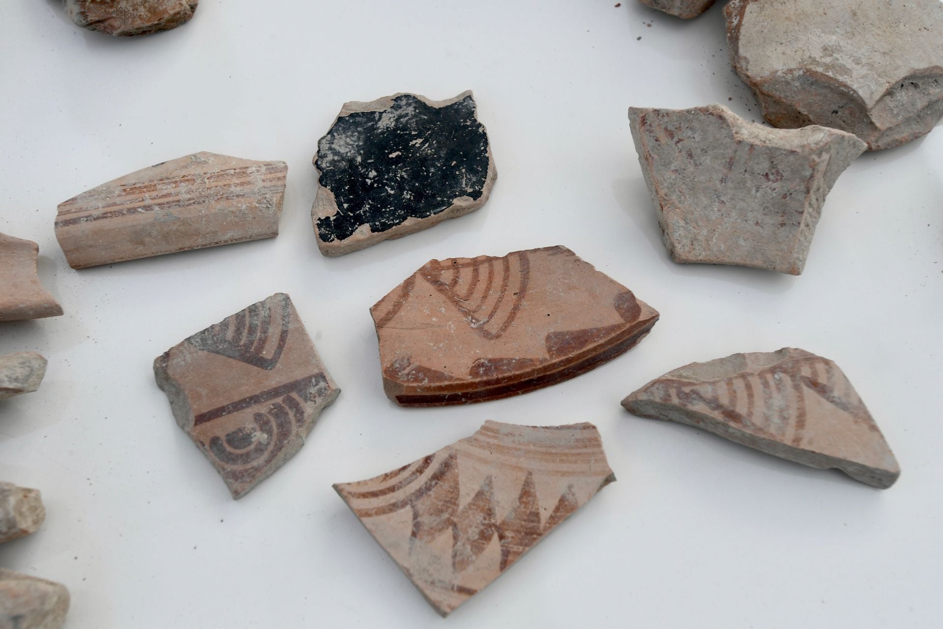 Descubrimiento de un yacimiento íbero en Monteagudo, en imágenes