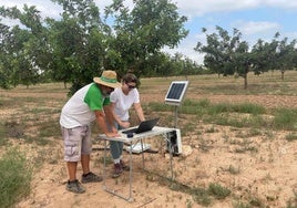 Investigadores del proyecto Ciclica toman datos en un campo de algarrobos.