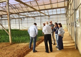 Investigadores del proyecto en el Centro de Demostración y Transferencia Agraria, en El Mirador, en San Javier.