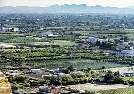 Imagen de archivo de la huerta de Murcia.