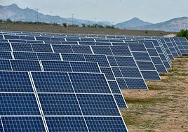 Imagen de una planta solar fotovoltaica instalada en la Región de Murcia, en una imagen de archivo.