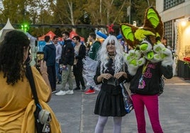 En imágenes, inicio del Murcia Se Remanga