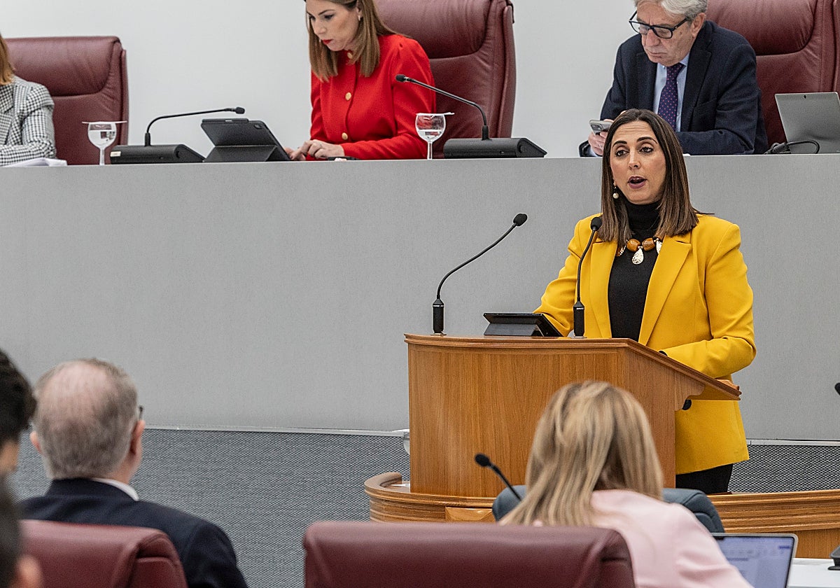 Sara Rubira, durante su intervención en la Asamblea.