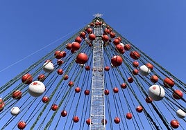 El gran árbol de Navidad, ya instalado en la Plaza Circular.