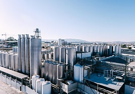 Zukán, 30 años más dulces que nunca