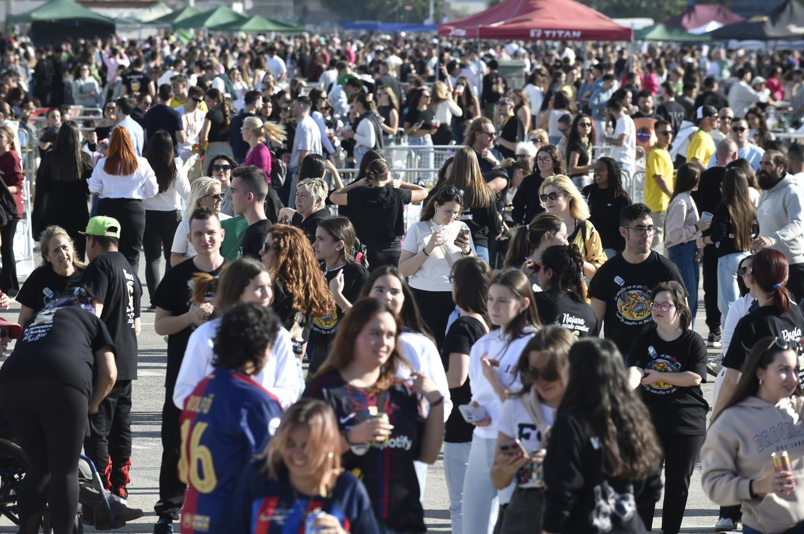 Las imágenes del concurso de paellas de las fiestas de la Purísima en Torrevieja