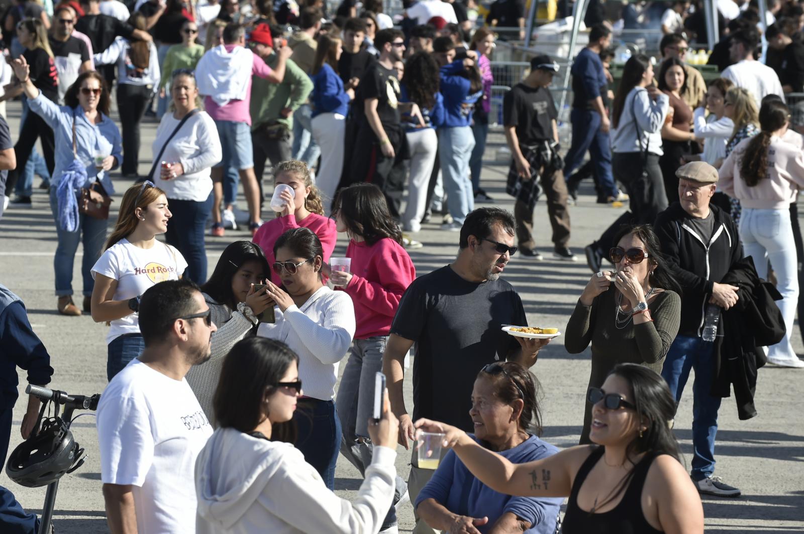 Las imágenes del concurso de paellas de las fiestas de la Purísima en Torrevieja