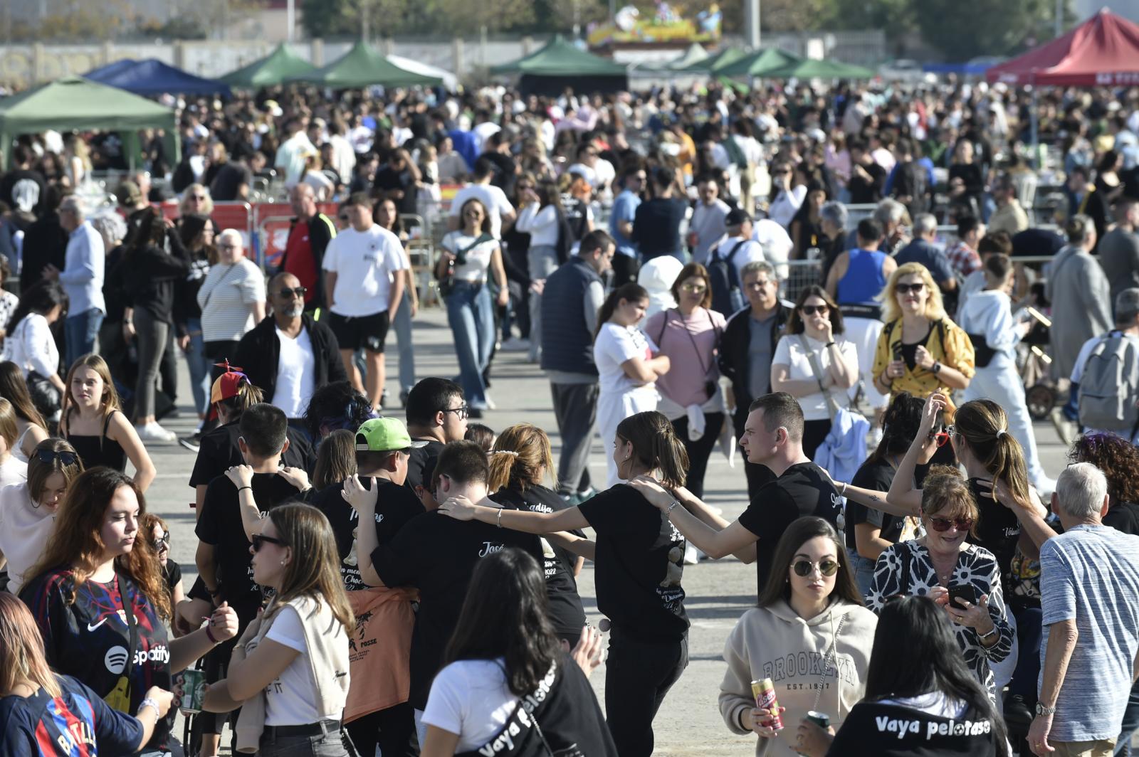 Las imágenes del concurso de paellas de las fiestas de la Purísima en Torrevieja