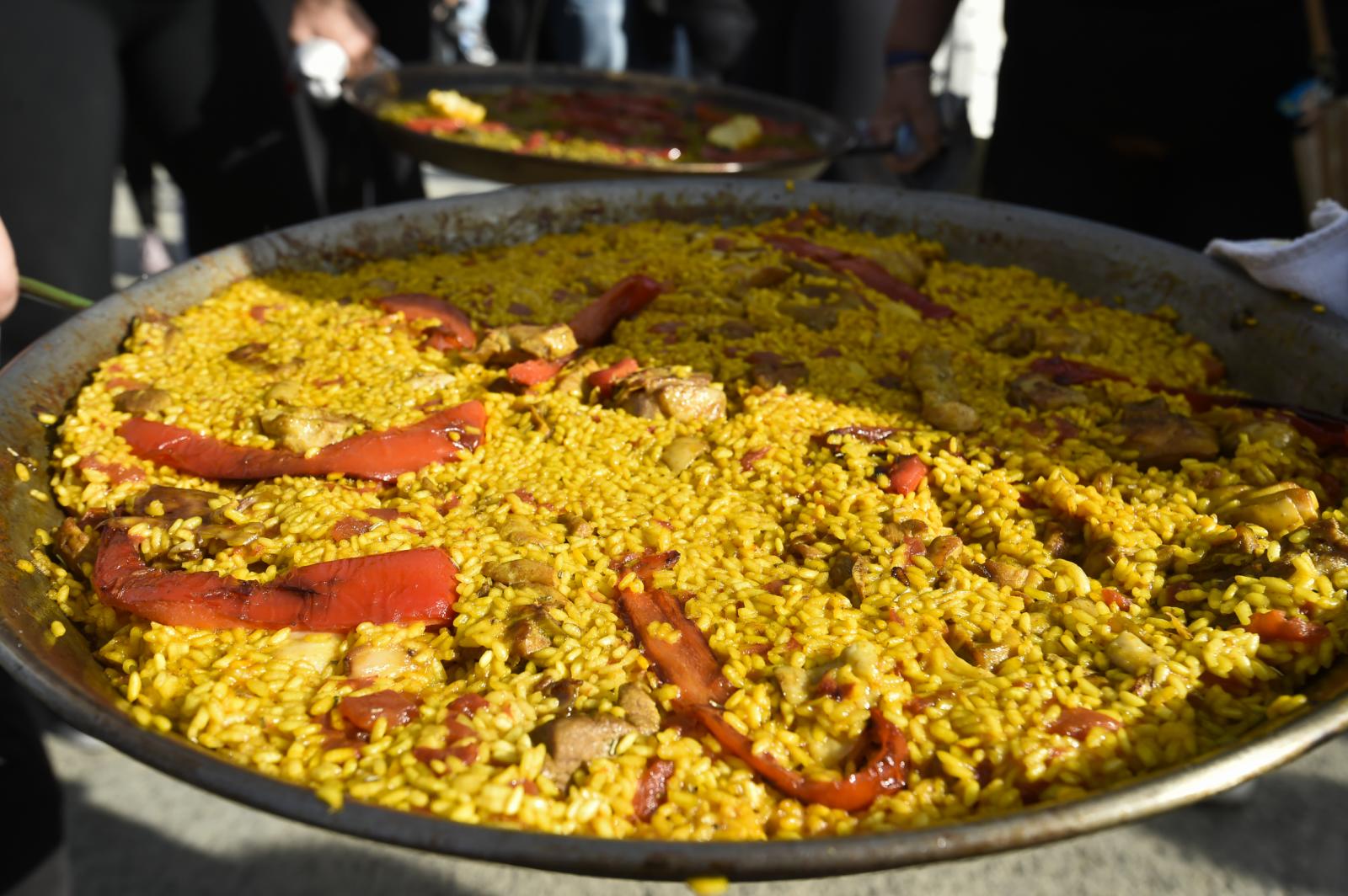 Las imágenes del concurso de paellas de las fiestas de la Purísima en Torrevieja