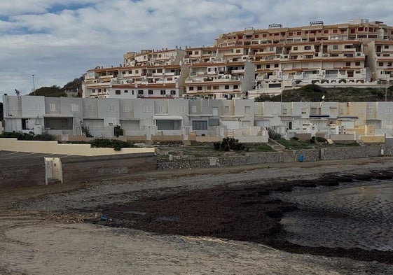 Desperfectos que denuncia Movimiento Ciudadano en el litoral del Mar Menor.