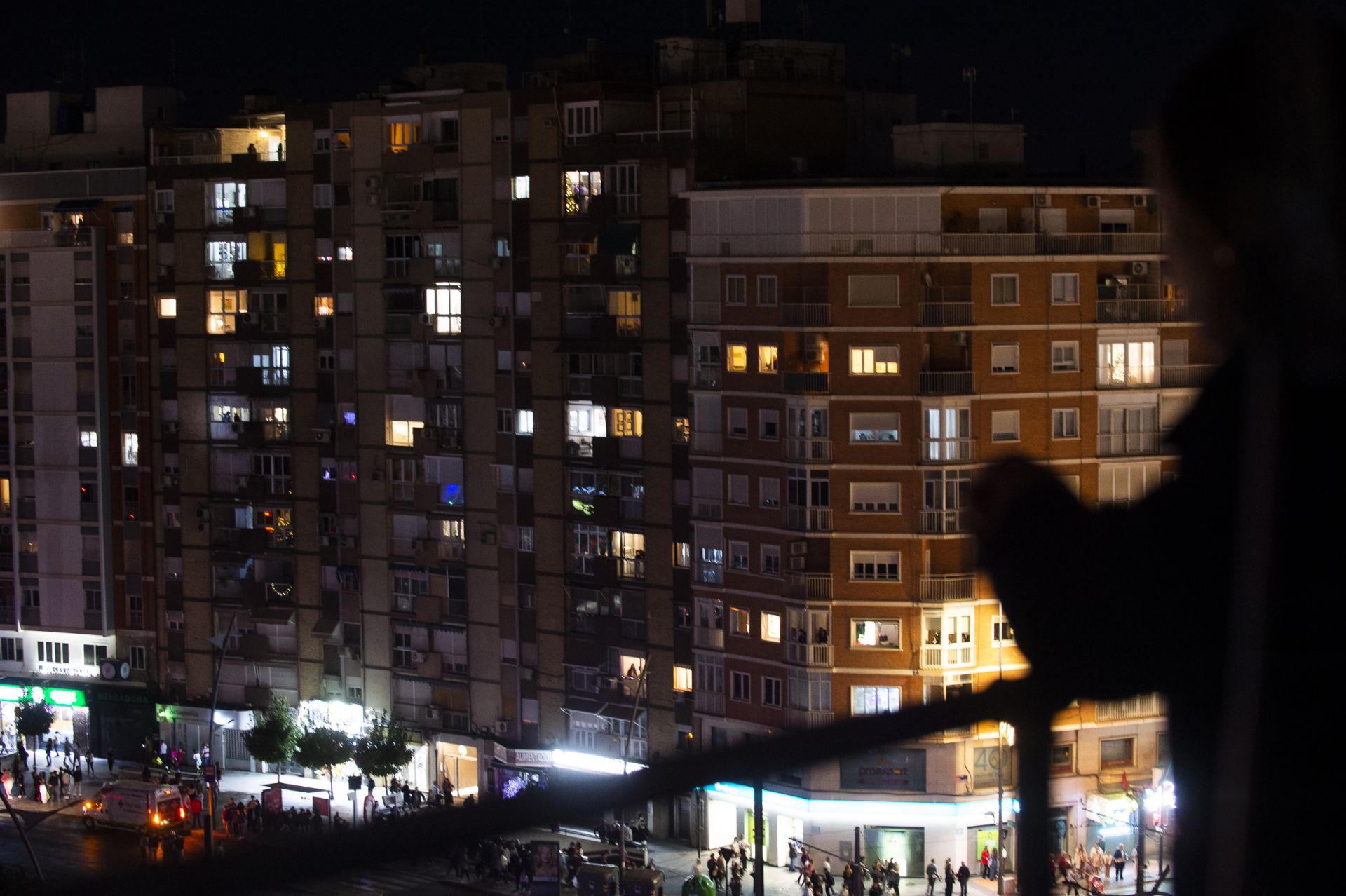 El encendido del Gran Árbol de Navidad de Murcia, en imágenes