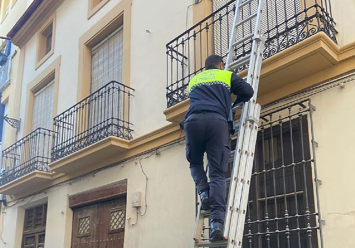 Un agente en la fachada del edificio.