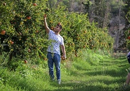Un joven agricultor en una explotación agrícola, en una imagen de archivo.