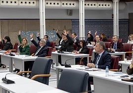 Los parlamentarios, durante la sesión plenaria de este jueves.