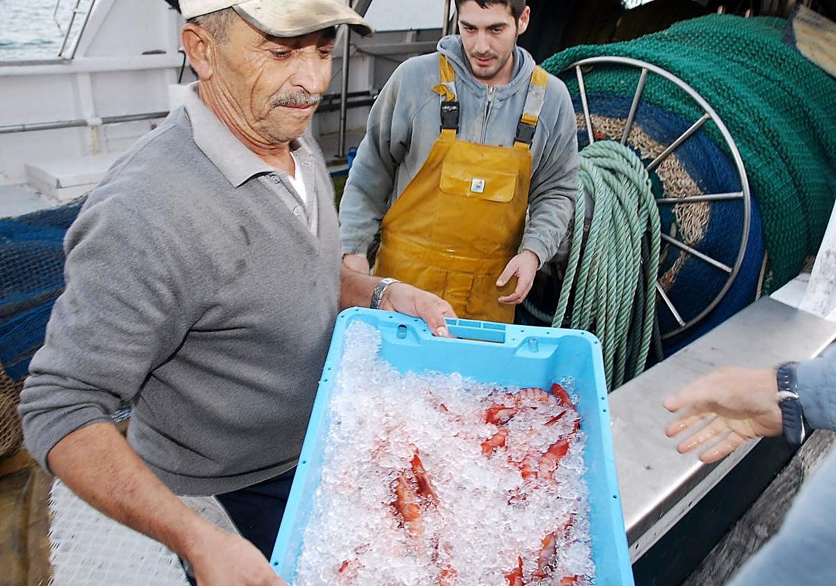 Unos pescadores descargan capturas de gamba roja a su llegada a puerto, en una imagen de archivo.