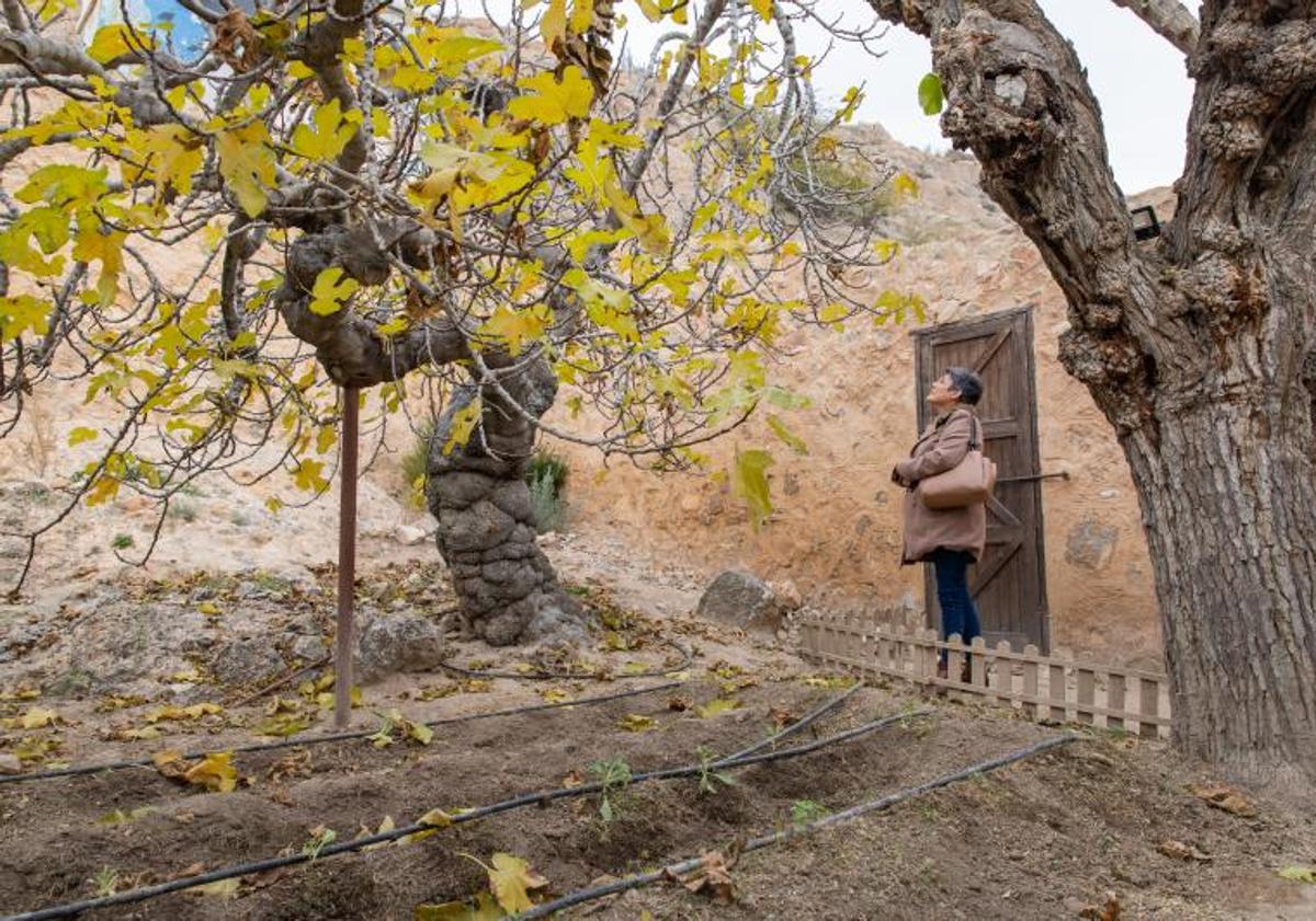 Imagen principal - PP y Vox se instan a sí mismos a iniciar los trámites para que la Casa de Miguel Hernández en Orihuela sea reconocida como museo