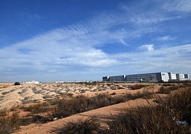 Los terrenos ubicados junto al centro logístico de Amazon serán urbanizados próximamente para acoger nuevos proyectos.