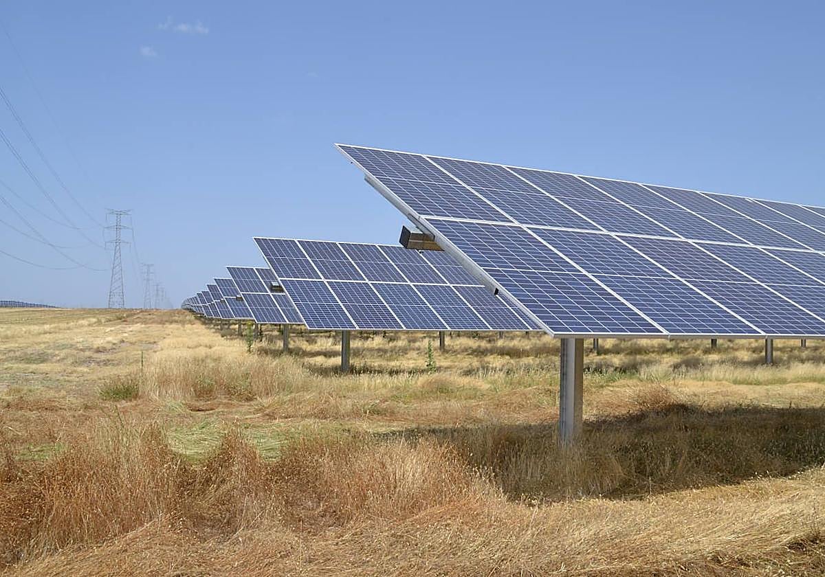 Una de las plantas solares de Soltec, en una imagen de archivo.