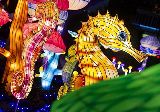 Así es Lucidum, el espectáculo sensorial navideño de Murcia