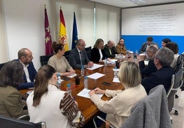 Reunión de la Comisión Regional de Atención Temprana.