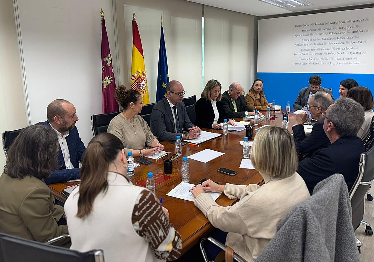 Reunión de la Comisión Regional de Atención Temprana.