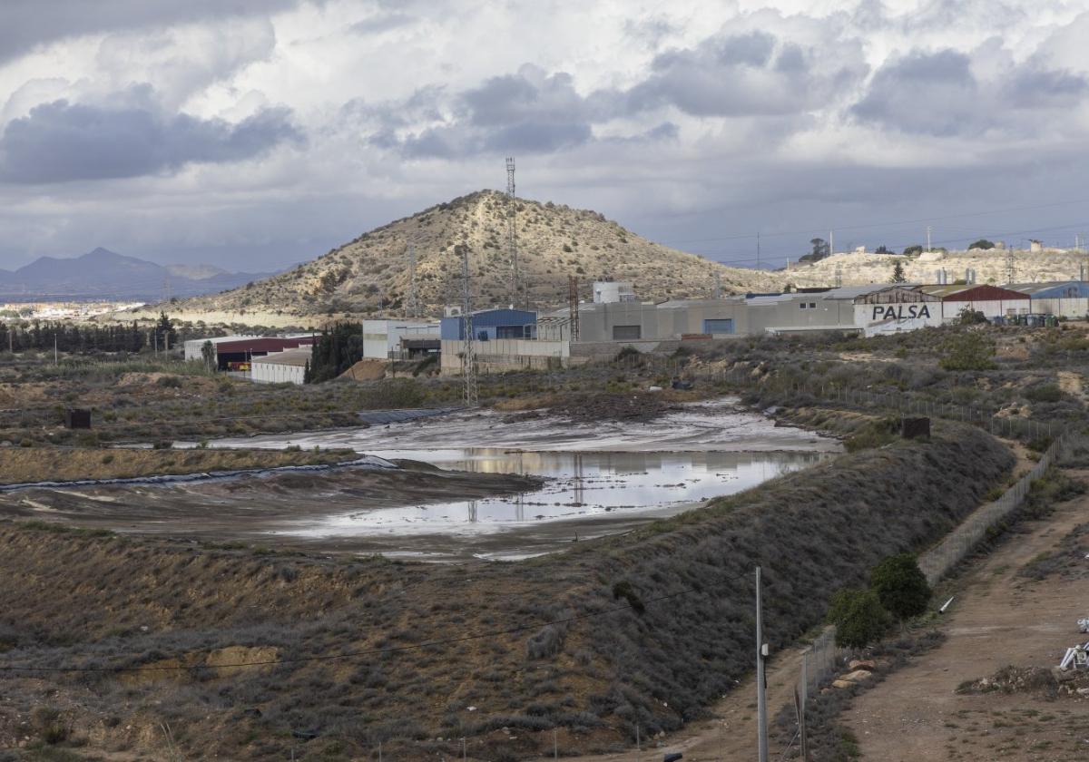 Imagen de archivo de las balsas de Zinsa, a escasos metros de viviendas y negocios de Torreciega y Cabezo Beaza.