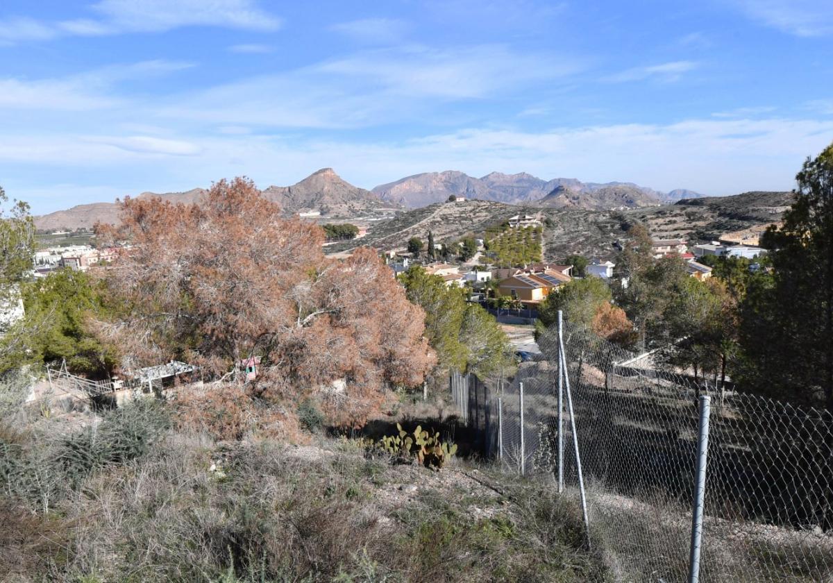 El color marrón avanza junto a casas, naves y carreteras en suelos municipales y privados