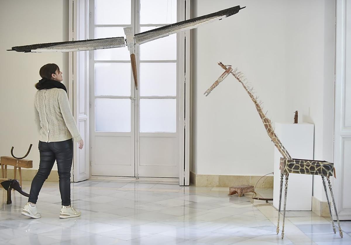 Un zoo. La gaviota, la tortuga, la jirafa... comparten el espacio.