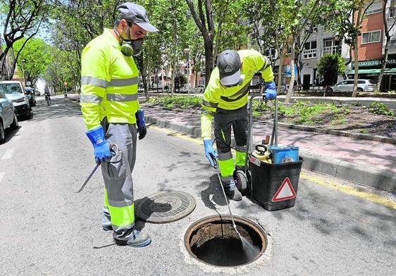 Imagen de archivo de dos técnicos fumigando en Murcia.