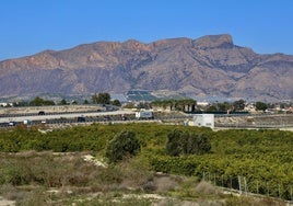 Unión de las autovías RM-1 (del bancal) y del Reguerón, en Zeneta. Al fondo, la Sierra de Orihuela.