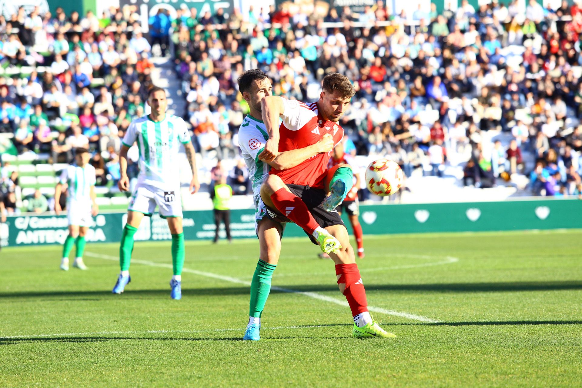 La derrota del Real Murcia frente al Antequera, en imágenes