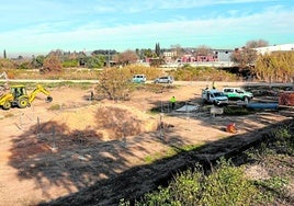 Las obras han comenzado en el paraje de El Soto, donde se proyecta un parque inundable junto al río Segura.