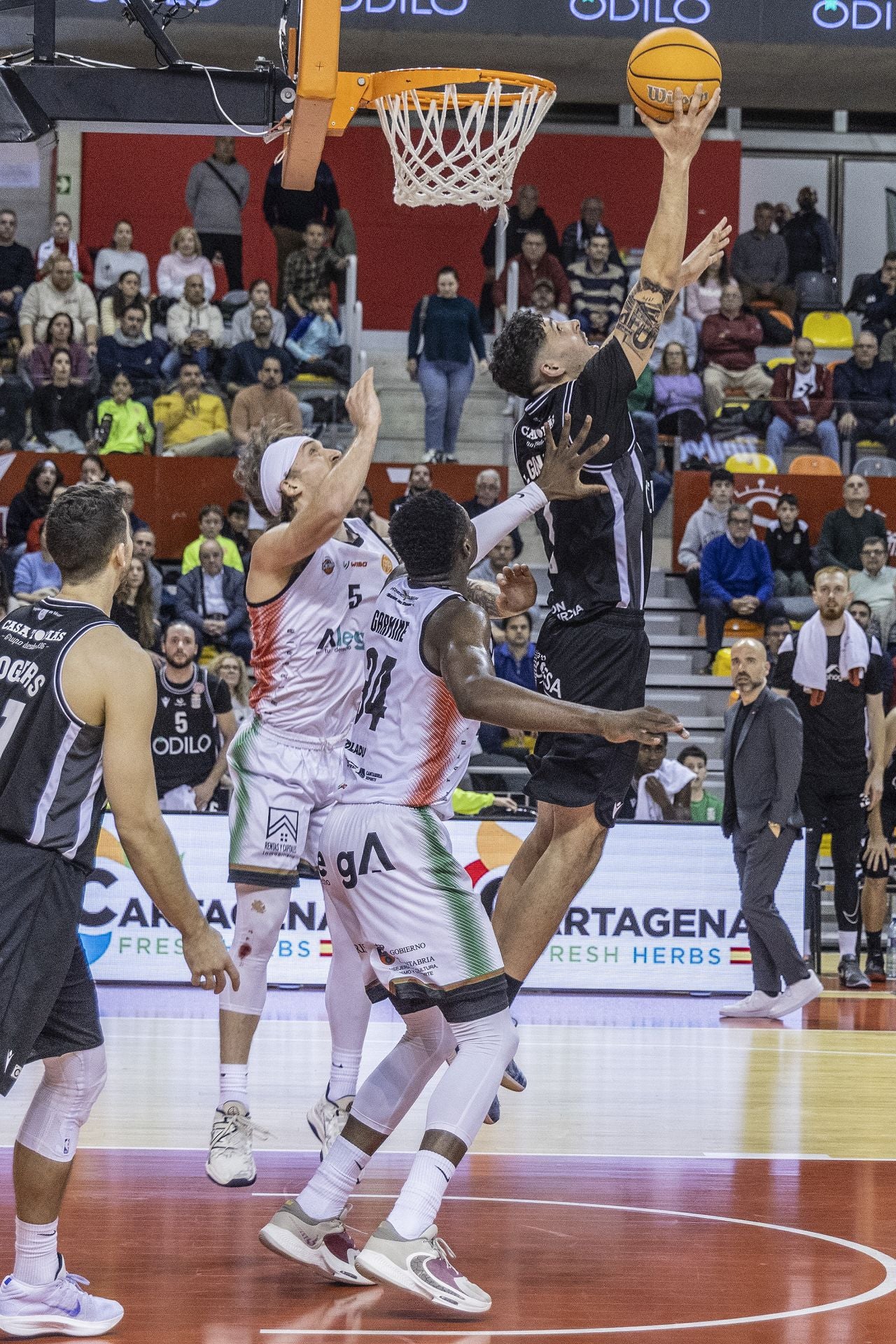 Las imágenes de la victoria del Cebé ante el Cantabria (87-78)