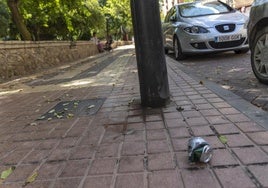 Suciedad en las inmediaciones del parque de los Juncos, en una imagen de archivo.