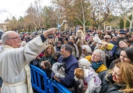 La bendición de animales en el barrio de San Antón de Murcia, en imágenes