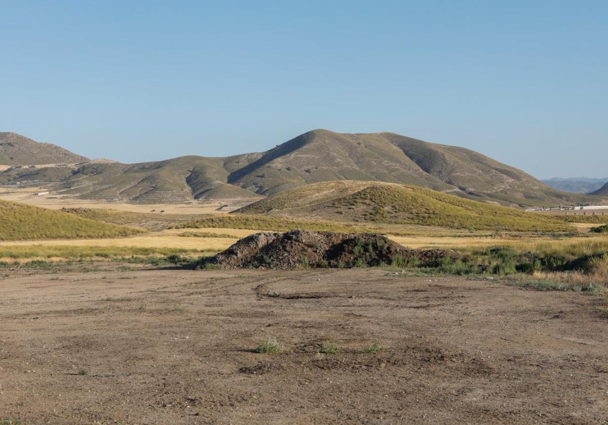 Terrenos del área de protección del Cerro Tornajo donde está proyectada la planta de biogás.