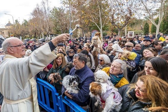 El cura Jorge Rodríguez rocía con agua bendita a los animales, este viernes, frente a la ermita de San Antón.