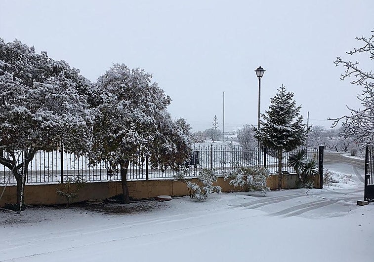 El Campo de San Juan, este viernes, nevado.